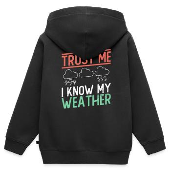 Météorologue Météo Climat Prévisions Météo - Sweat Premium à capuche zippé enfant bio - noir - Dos - AI Model Kid Male (0cm)