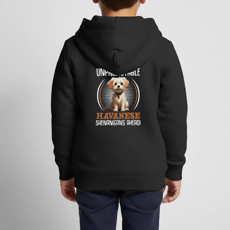 Warning unpredictable Havanese Shenanigans ahead Kids Premium Organic Zip-up Hoodie