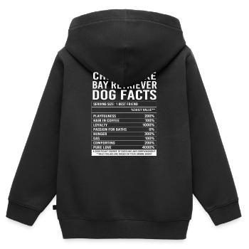 Retriever de la baie de Chesapeake - Sweat Premium à capuche zippé enfant bio - noir - Dos - AI Model Kid Male (0cm)