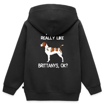I Just Really Like Brittanys - Kids Premium Organic Zip-up Hoodie - black - Back - AI Model Kid Male (0cm)