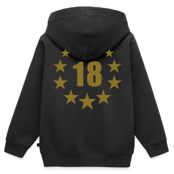 18 birthday deluxe 18th - Sweat Premium à capuche zippé enfant bio - noir - Dos - AI Model Kid Male (0cm)