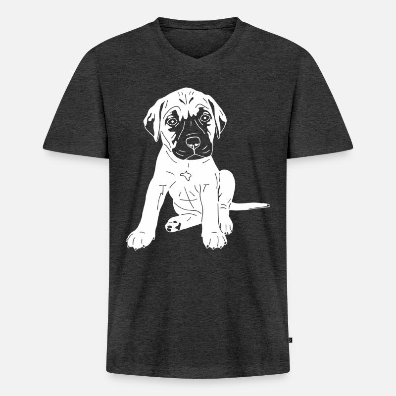 Bullmastiff Mix - Männer Premium Bio T-Shirt mit V-Ausschnitt - Anthrazit meliert