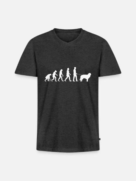 Hovawart Evolution Hundebesitzer Hunde Geschenk - Männer Premium Bio T-Shirt mit V-Ausschnitt - Anthrazit meliert