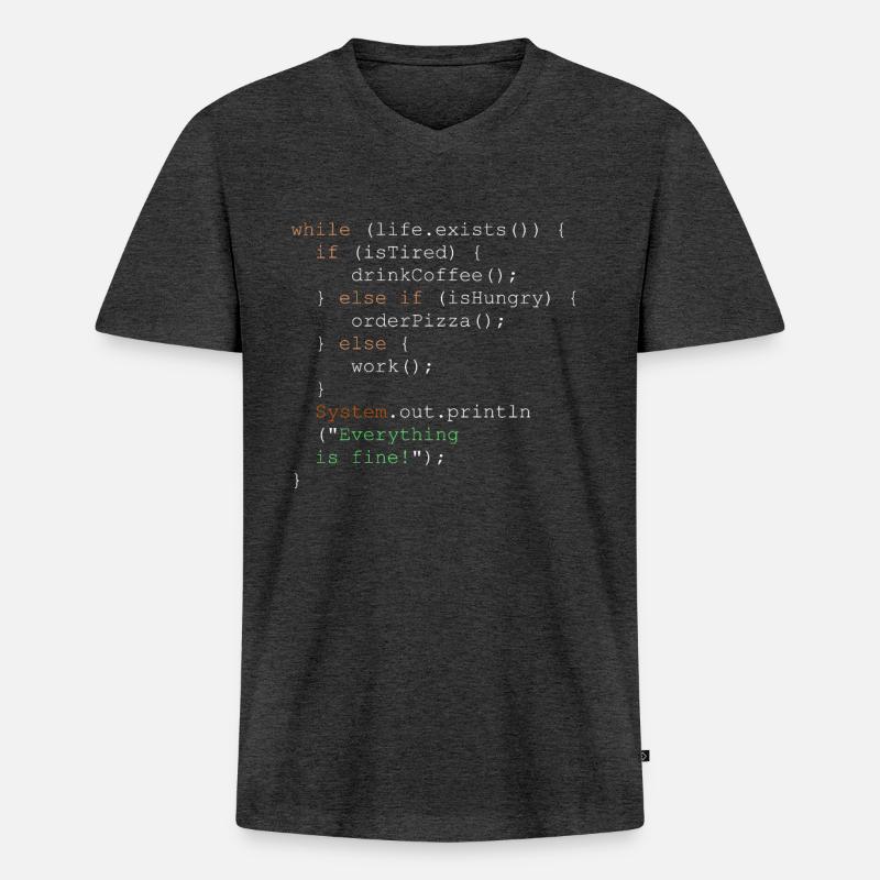 Programmierung, Programmierer und Programmcode - Männer Premium Bio T-Shirt mit V-Ausschnitt - Anthrazit meliert