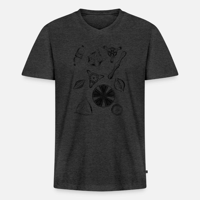 diatoms, algae diatom - Männer Premium Bio T-Shirt mit V-Ausschnitt - Anthrazit meliert