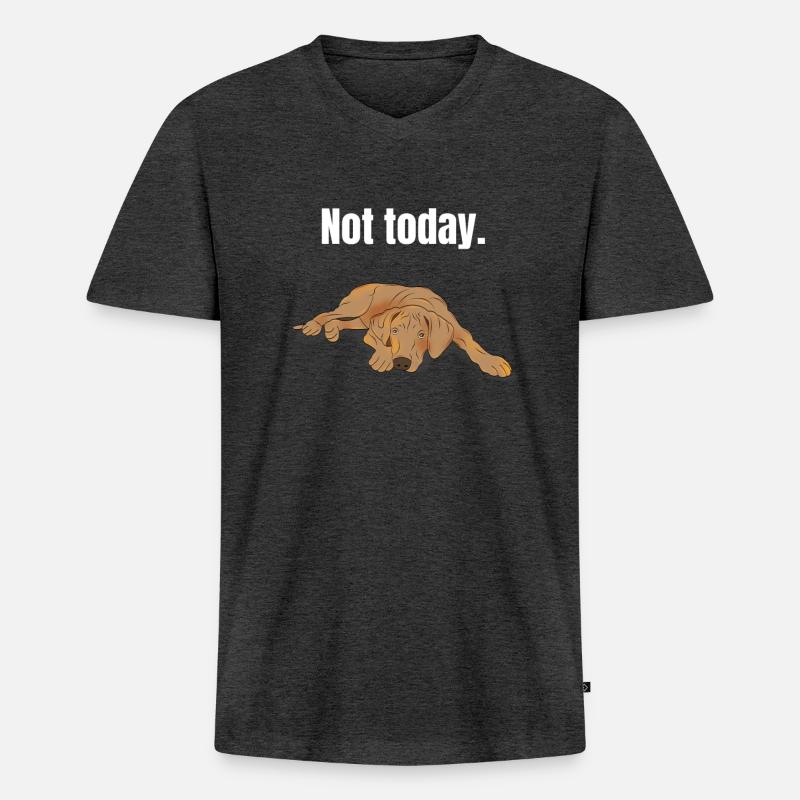 Rhodesian Ridgeback Geschenk - Männer Premium Bio T-Shirt mit V-Ausschnitt - Anthrazit meliert