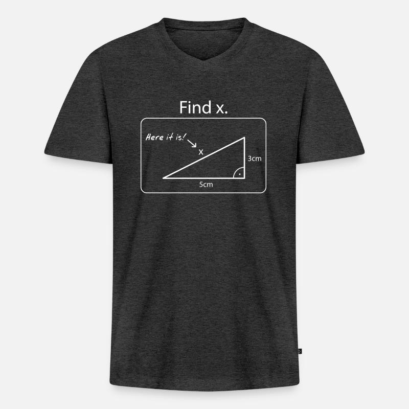 Finde das X // Mathematik - Männer Premium Bio T-Shirt mit V-Ausschnitt - Anthrazit meliert