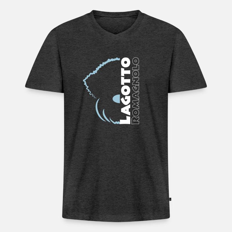 Laglogo1 1 - Männer Premium Bio T-Shirt mit V-Ausschnitt - Anthrazit meliert