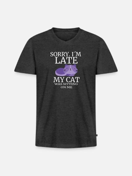 Katze - Männer Premium Bio T-Shirt mit V-Ausschnitt - Anthrazit meliert