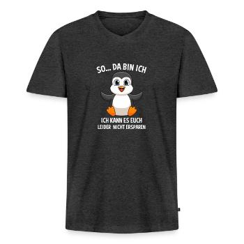 Seevögel Tierwelt Retro Königspinguin Pinguin - Männer Premium Bio T-Shirt mit V-Ausschnitt - Anthrazit meliert - Vorne - Nico (187cm)