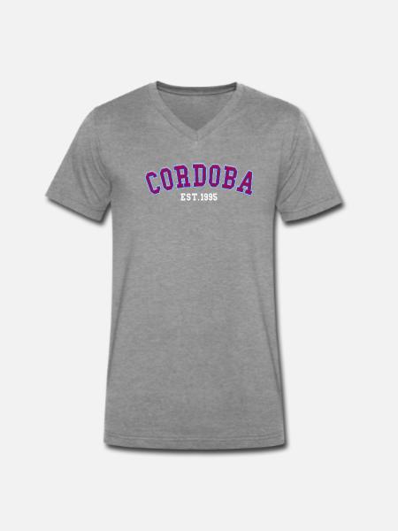 Córdoba gegründet 1995 - Männer Premium Bio T-Shirt mit V-Ausschnitt - Dunkelgrau meliert