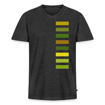 Shades of green - Men's Premium Organic T-shirt with V-neck - heather anthracite - Front - Nico (187cm)