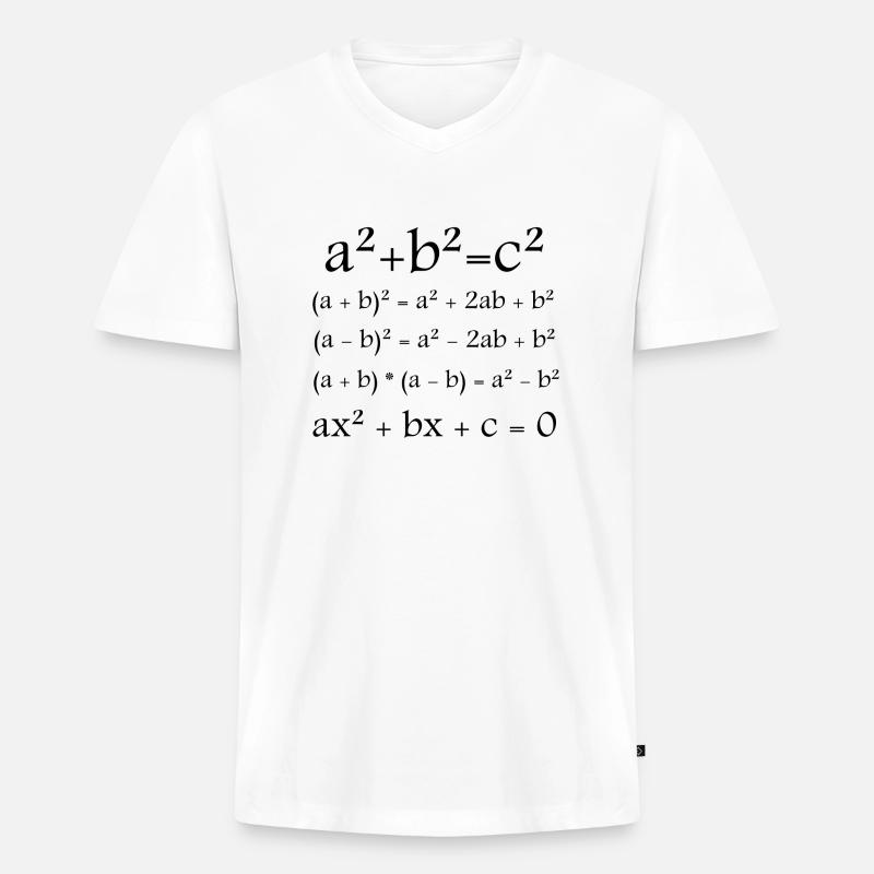 Mathematik / Math / Formel - Männer Premium Bio T-Shirt mit V-Ausschnitt - Weiß