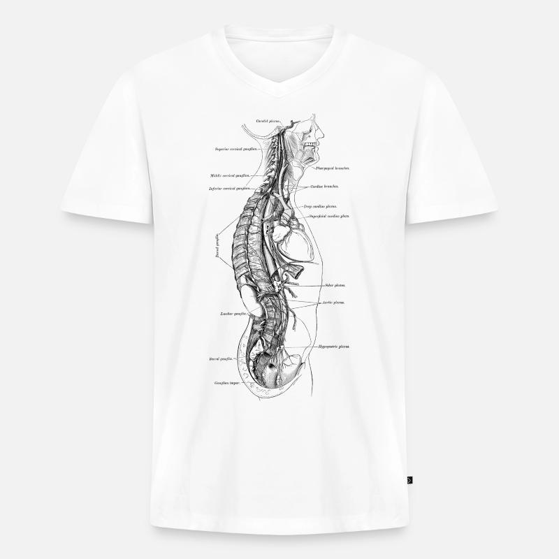 Menschlicher Körper - Abschnitt - Männer Premium Bio T-Shirt mit V-Ausschnitt - Weiß