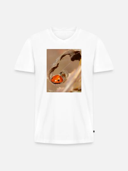 Ladybug on dried leaf - Men's Premium Organic T-shirt with V-neck - white