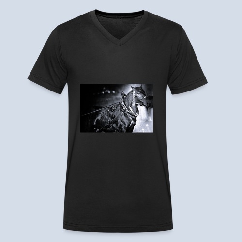 Noriker - Männer Bio-T-Shirt mit V-Ausschnitt von Stanley & Stella