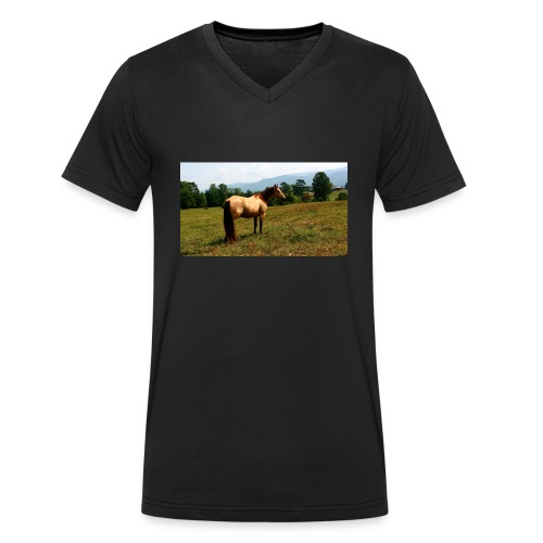 IMG_20150903_140848-jpg - Men's Organic V-Neck T-Shirt by Stanley & Stella