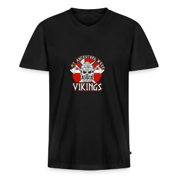 Meine Vorfahren Waren Wikinger Dänemark - Männer Premium Bio T-Shirt mit V-Ausschnitt - Schwarz - Vorne - Nico (187cm)