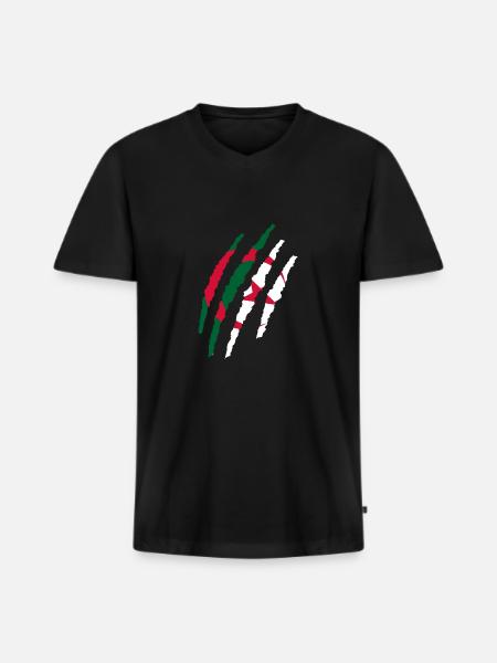 Algérie dans la peau - T-shirt encolure en V Premium bio Homme - noir