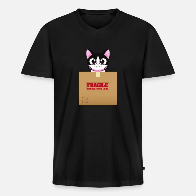 Zerbrechliche Box - Männer Premium Bio T-Shirt mit V-Ausschnitt - Schwarz