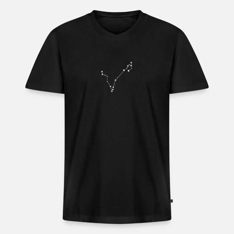 Sternzeichen Fisch - Männer Premium Bio T-Shirt mit V-Ausschnitt - Schwarz