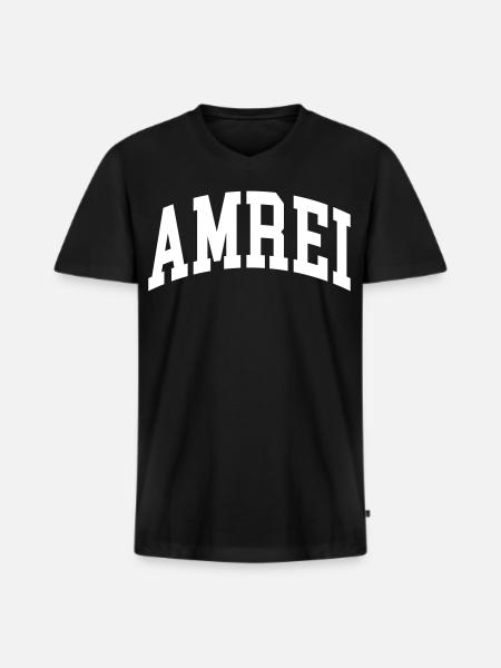 Amrei - Men's Premium Organic T-shirt with V-neck - black