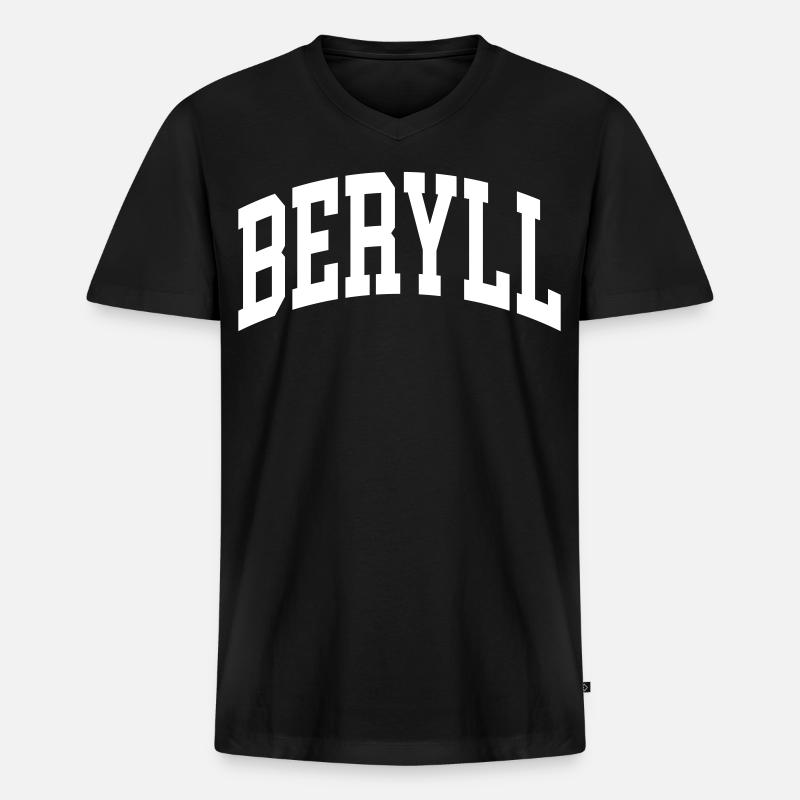 Beryll - Männer Premium Bio T-Shirt mit V-Ausschnitt - Schwarz
