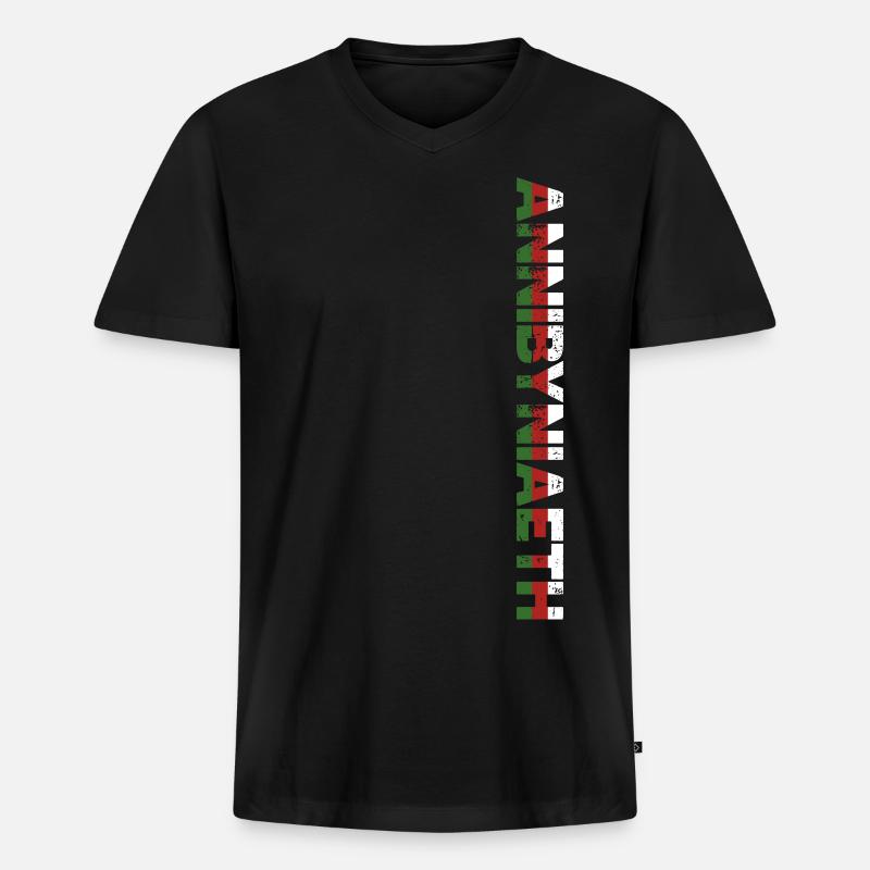 Annibyniaeth - Männer Premium Bio T-Shirt mit V-Ausschnitt - Schwarz