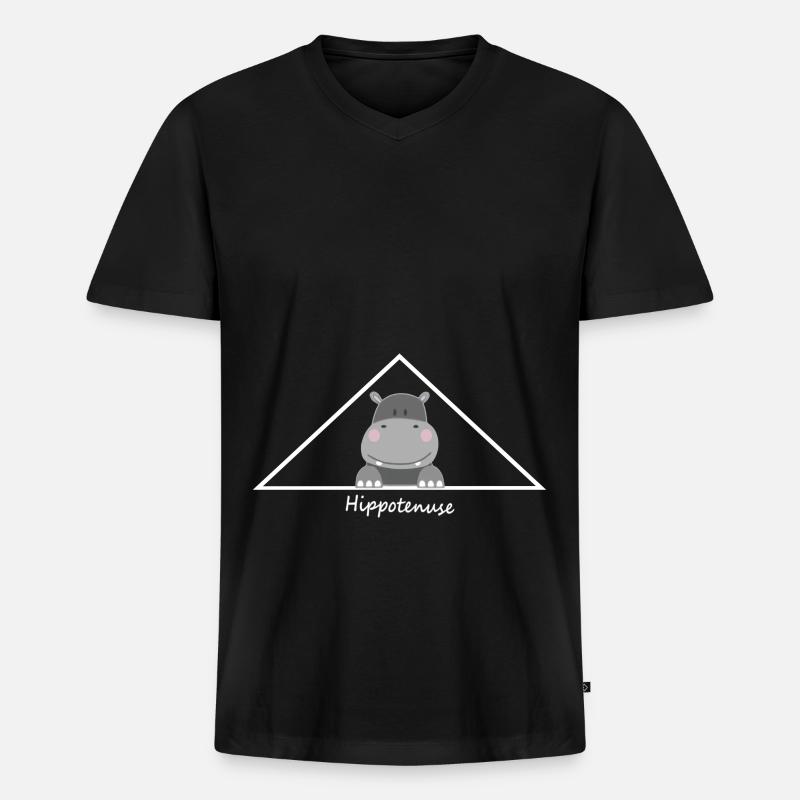 Dreieck mit Hippotenuse - Männer Premium Bio T-Shirt mit V-Ausschnitt - Schwarz