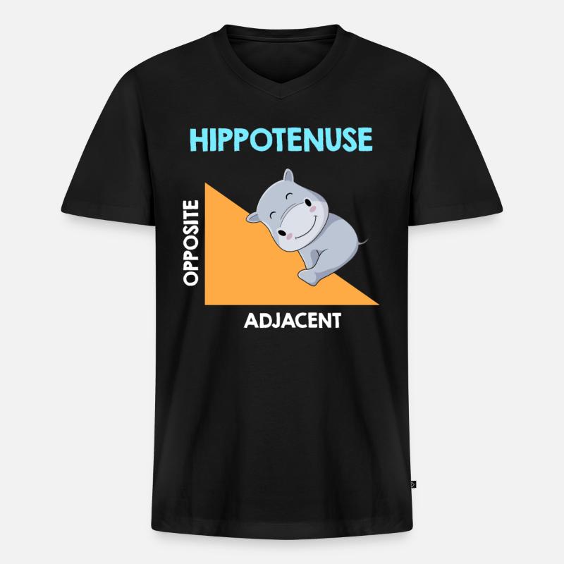 Hippotenuse Algebra Analysis - Männer Premium Bio T-Shirt mit V-Ausschnitt - Schwarz