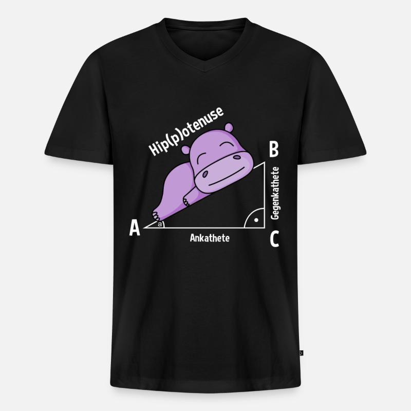 Mathelehrer Hipotenuse Mathe - Männer Premium Bio T-Shirt mit V-Ausschnitt - Schwarz