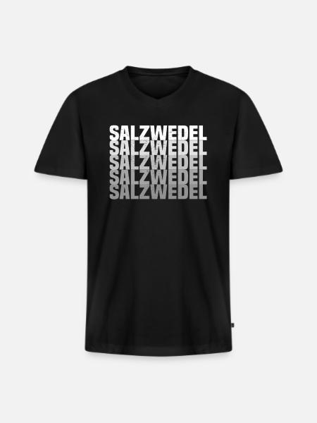 salzwedel - Männer Premium Bio T-Shirt mit V-Ausschnitt - Schwarz