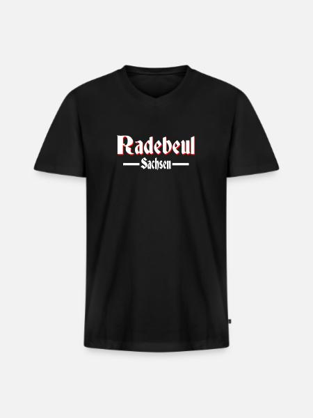 Radebeul - Männer Premium Bio T-Shirt mit V-Ausschnitt - Schwarz