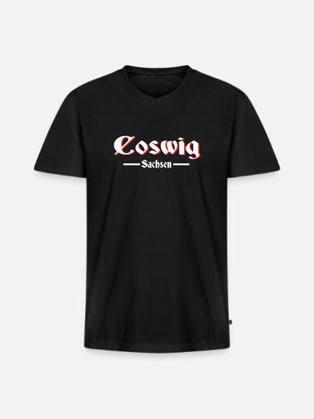 Coswig - Männer Premium Bio T-Shirt mit V-Ausschnitt - Schwarz
