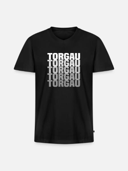 Torgau - Männer Premium Bio T-Shirt mit V-Ausschnitt - Schwarz