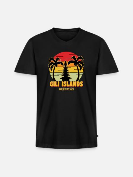 Îles Gili - T-shirt encolure en V Premium bio Homme - noir