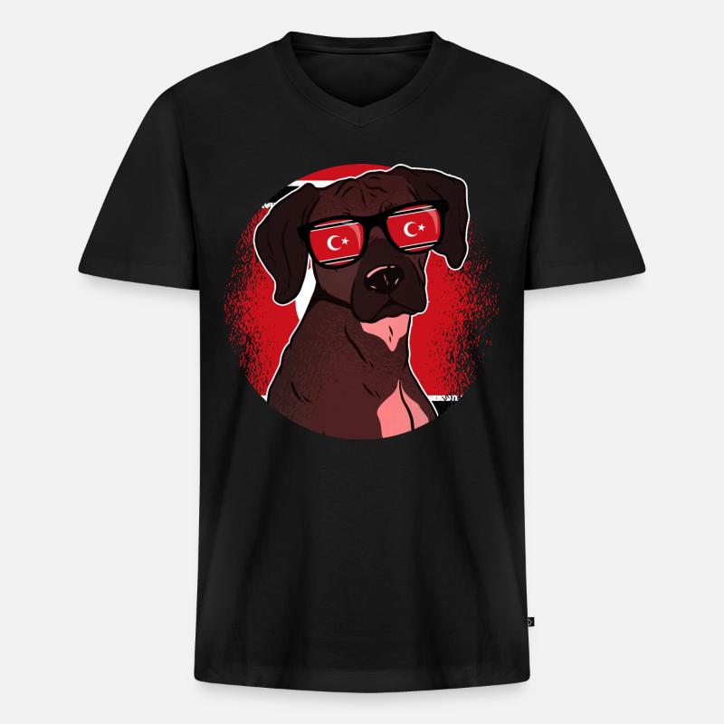 Aceh - Männer Premium Bio T-Shirt mit V-Ausschnitt - Schwarz
