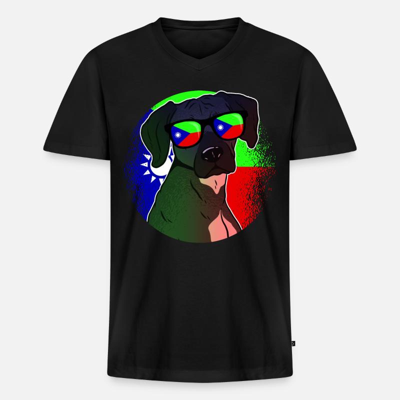 Belutschistan - Männer Premium Bio T-Shirt mit V-Ausschnitt - Schwarz