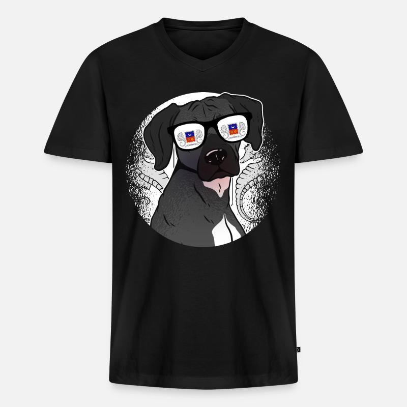 Mayotte - Männer Premium Bio T-Shirt mit V-Ausschnitt - Schwarz