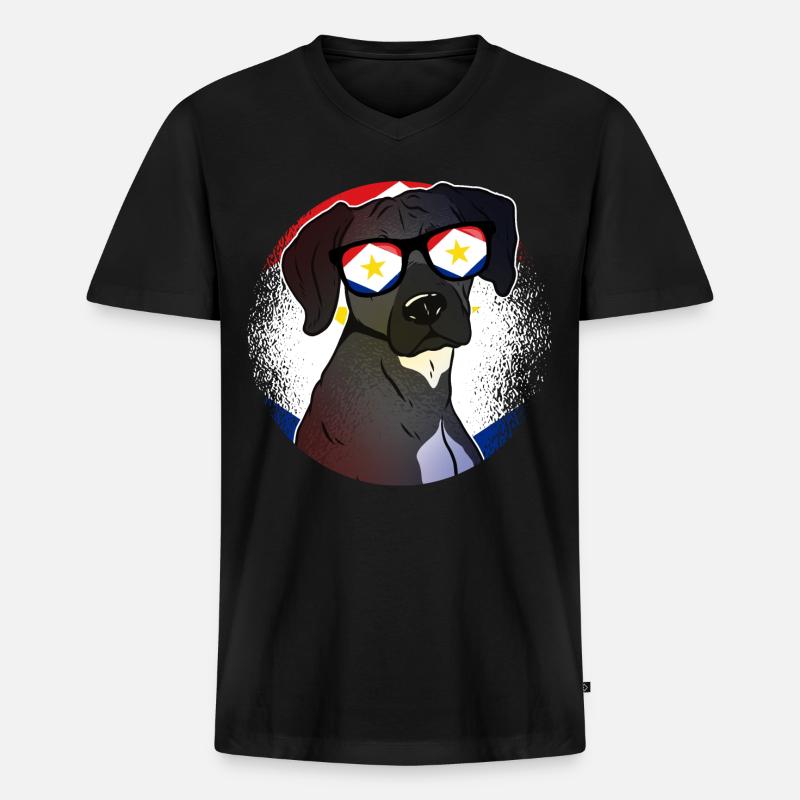 Saba - Männer Premium Bio T-Shirt mit V-Ausschnitt - Schwarz