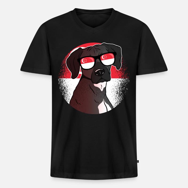 Singapur - Männer Premium Bio T-Shirt mit V-Ausschnitt - Schwarz