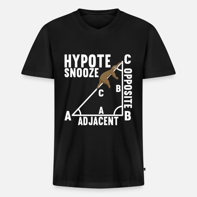 Mathe Mathelehrer - Männer Premium Bio T-Shirt mit V-Ausschnitt - Schwarz