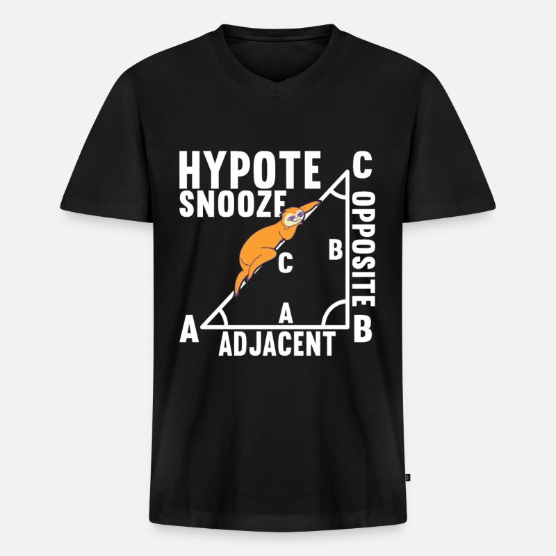 Mathe Mathelehrer - Männer Premium Bio T-Shirt mit V-Ausschnitt - Schwarz