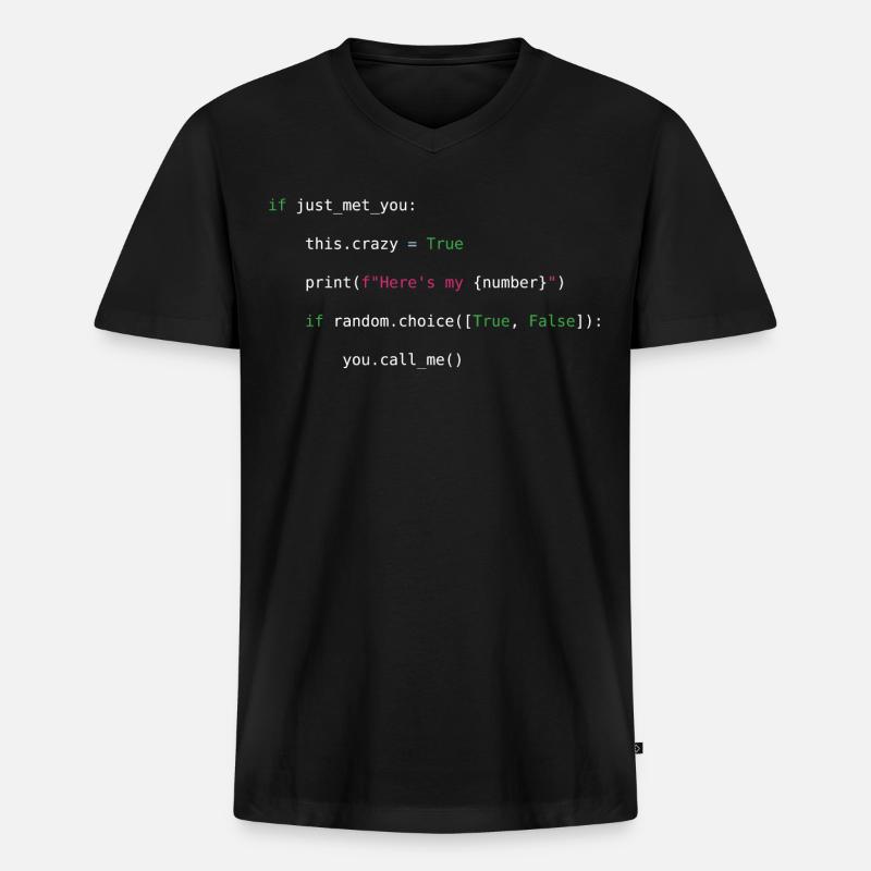 Call me maybe python - Men's Premium Organic T-shirt with V-neck - black