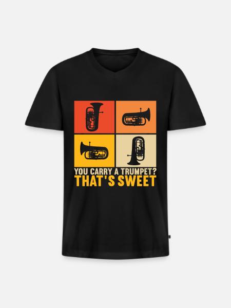 Euphonium Euphonium Player - Men's Premium Organic T-shirt with V-neck - black