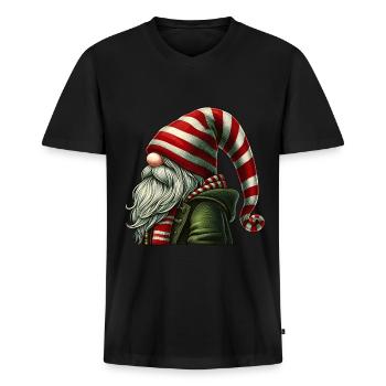 Elijah Wichtel - Männer Premium Bio T-Shirt mit V-Ausschnitt - Schwarz - Vorne - Nico (187cm)