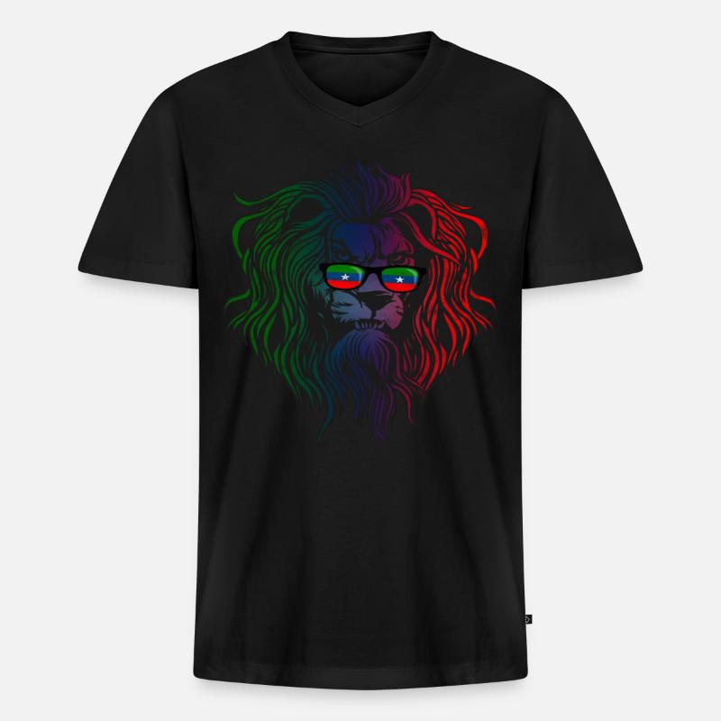 Ogaden - Männer Premium Bio T-Shirt mit V-Ausschnitt - Schwarz