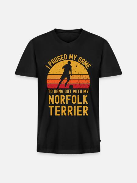 Fußball und Norfolk-Terrier - Männer Premium Bio T-Shirt mit V-Ausschnitt - Schwarz