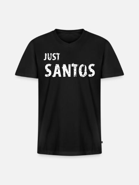 Santos - T-shirt encolure en V Premium bio Homme - noir