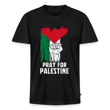 Palästina - Männer Premium Bio T-Shirt mit V-Ausschnitt - Schwarz - Vorne - Nico (187cm)